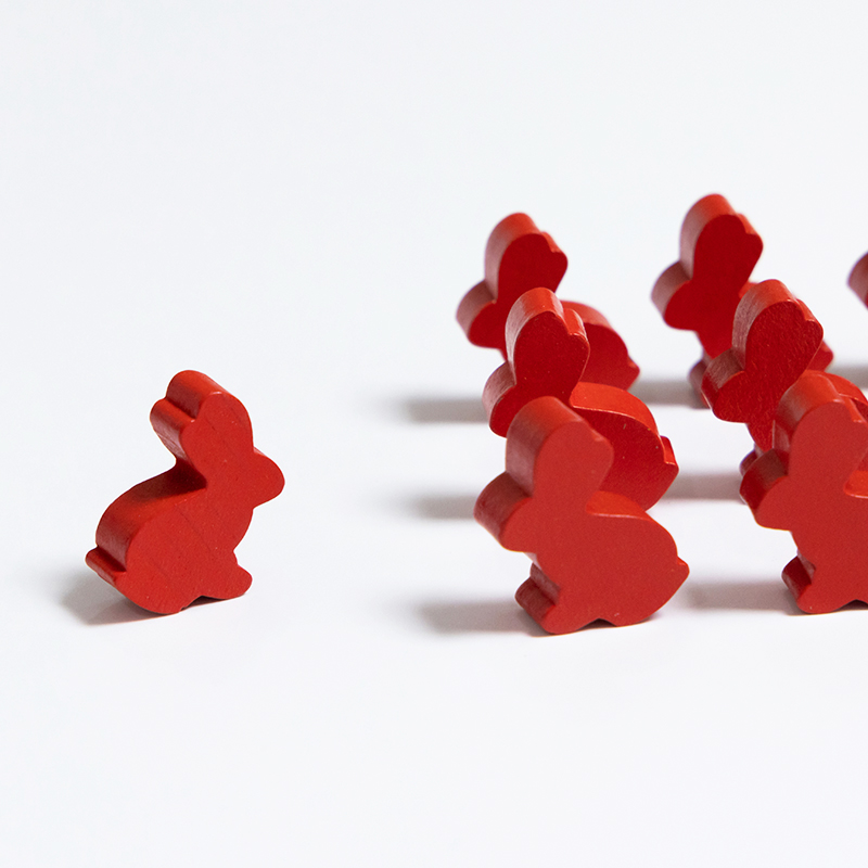 100PCS Cute Rabbit Meeple, 25m – обзор и цена Board Game Hegemony